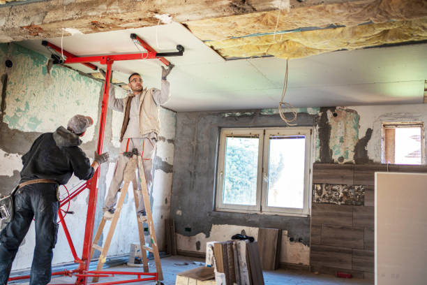 Best Eco-Friendly or Green Insulation Solutions  in La Grange, TX